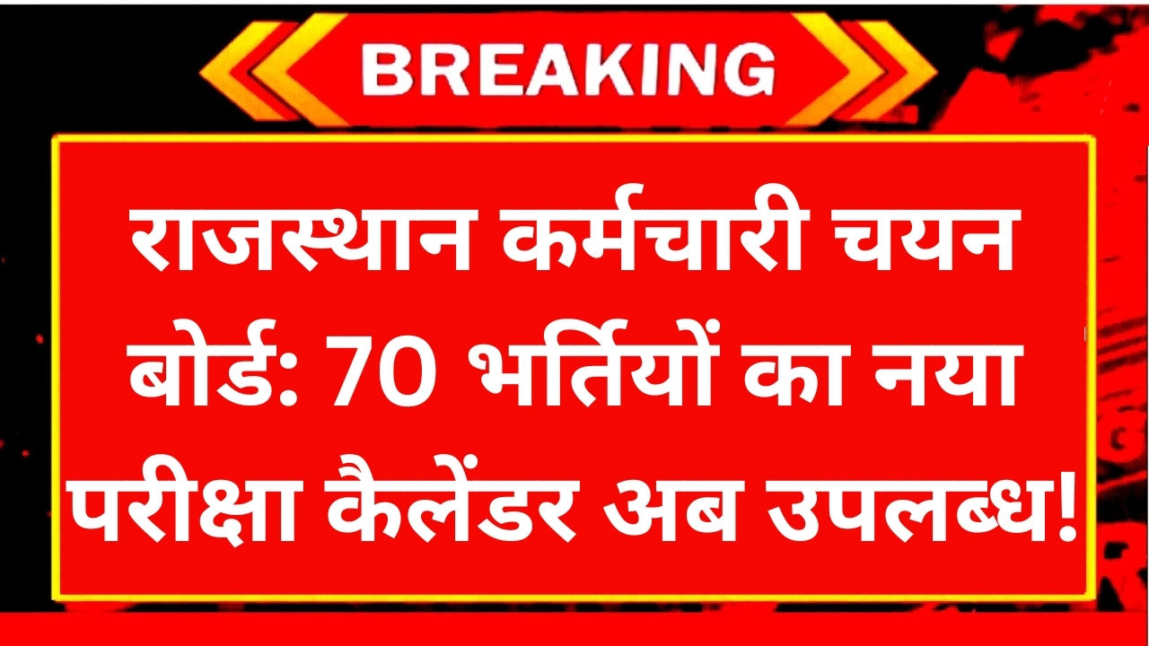 RSMSSB Exam Calendar 2024-25